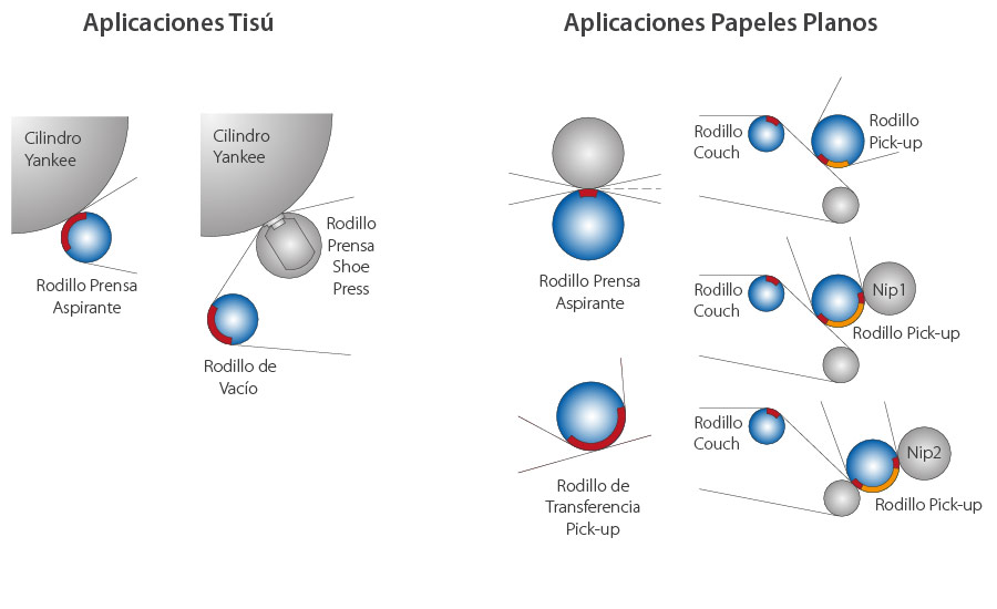 1°Rod-Apl